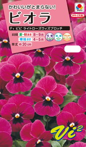 ԃ^l@NL300 rI F1 rr Cg[YEBYub`  [FBR532]yԂ̎zy^LC̃^lzyK[fjOz