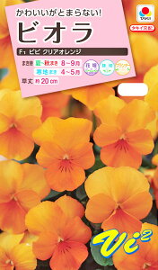 ԃ^l@NL300 rI F1 rr NAIW  [FBR535]yԂ̎zy^LC̃^lzyK[fjOz