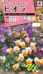 ԃ^l@NL300 rI F1 rr AeB[N~bNX  [FBR559]yԂ̎zy^LC̃^lzyK[fjOz