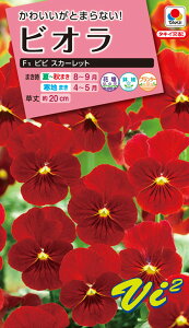 ԃ^l@NL300 rI F1 rr XJ[bg  [FBR569]yԂ̎zy^LC̃^lzyK[fjOz