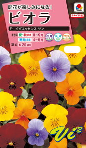 ԃ^l@NL300 rI F1 rrGbZX T  [FBR583]yԂ̎zy^LC̃^lzyK[fjOz