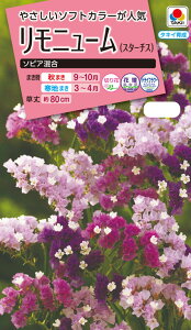 ԃ^l@NL300 j[iX^[`Xj \sA  [FSU260]yԂ̎zy^LC̃^lzyK[fjOz