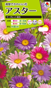 Ԏ@NL200 AX^[ }[Kbg  [FAS610]yԂ̎zy^LC̃^lzyK[fjOz