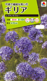 花タネ　NL200 ギリア レプタンサブルー 小袋 [FZZ205]【花の種】【タキイのタネ】【ガーデニング】