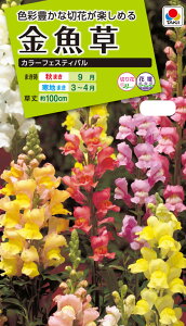 Ԏ@NL200  J[tFXeBo  [FKG110]yԂ̎zy^LC̃^lzyK[fjOz