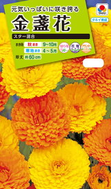 花種　NL200 金盞花 スター混合 小袋 [FKN200]　【花の種】【タキイのタネ】【ガーデニング】