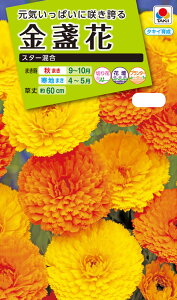 Ԏ@NL200 ᵉ X^[  [FKN200]@yԂ̎zy^LC̃^lzyK[fjOz