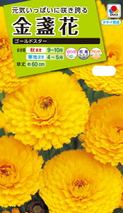 Ԏ@ NL200 ᵉ S[hX^[  [FKN201]@yԂ̎zy^LC̃^lzyK[fjOz