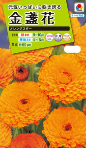 Ԏ@NL200 ᵉ IWX^[  [FKN202]yԂ̎zy^LC̃^lzyK[fjOz