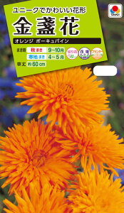 Ԏ@NL200 ᵉ IW |[LpC ܁@[FKNA43]yԂ̎zy^LC̃^lzyK[fjOz