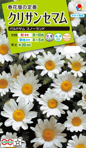 Ԏ@NL200 NTZ} phT Xm[h  [FCR127]yԂ̎zy^LC̃^lzyK[fjOz