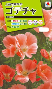 Ԏ@NL200 Sf` ~X  [FGD121]yԂ̎zy^LC̃^lzyK[fjOz