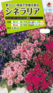 Ԏ@NL200 VlA A[[p[tFNV  [FSN310]yԂ̎zy^LC̃^lzyK[fjOz