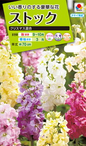 Ԏ NL200 XgbN NX}X  [FST130]yԂ̎zy^LC̃^lzyK[fjOz