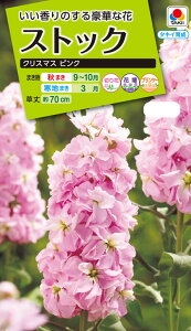 Ԏ NL200 XgbN NX}X sN  [FST135]yԂ̎zy^LC̃^lzyK[fjOz