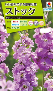 Ԏ NL200 XgbN NX}X u[  [FST131]yԂ̎zy^LC̃^lzyK[fjOz