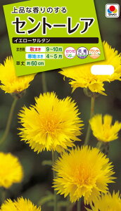Ԏ@NL200 Zg[A CG[T^  [FSS121]yԂ̎zy^LC̃^lyK[fjOz