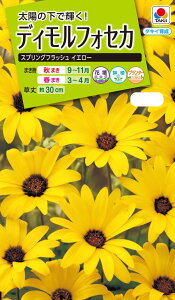 Ԏ@NL200 fBtHZJ XvOtbV CG[  [FZZ622]yԂ̎zy^LC̃^lzyK[fjOz