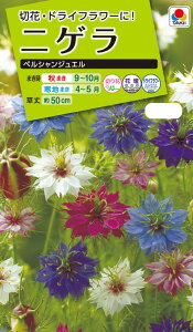 Ԏ@ NL200 jQ yVWG  [FZZ770]yԂ̎zy^LC̃^lzyK[fjOz
