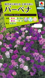 楽天市場 種 バーベナの通販