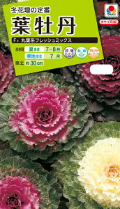 Ԏ@NL200 tO F1 ۗtntbV~bNX  [FHB530]yԂ̎zy^LC̃^lzyK[fjOz