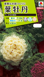 Ԏ@NL200 tO F1 ߍ  [FHB579]yԂ̎zy^LC̃^lzyK[fjOz