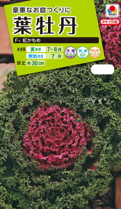 Ԏ@NL200 tO F1 g  [FHB571]yԂ̎zy^LC̃^lzyK[fjOz