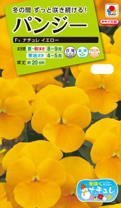 Ԏ@NL200 pW[ F1 i` CG[  [FPA721]yԂ̎zy^LC̃^lzyK[fjOz