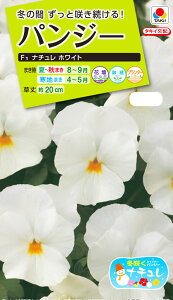 Ԏ@NL200 pW[ F1 i` zCg  [FPA724]yԂ̎zy^LC̃^lzyK[fjOz