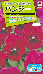 Ԏ@ NL200 pW[ F1 i` [Y  [FPA722]yԂ̎zy^LC̃^lzyK[fjOz