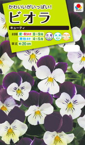 Ԏ@NL200 rI L[eB  [FBR112]yԂ̎zy^LC̃^lzyK[fjOz