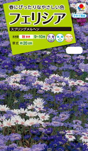 Ԏ@ NL200 tFVA XvOw  [FZZ840]yԂ̎zy^LC̃^lzyK[fjOz