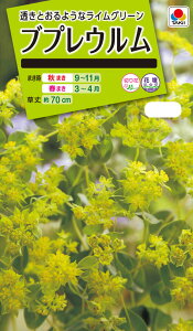 Ԏ@ NL200 uvE  [FZZ475]yԂ̎zy^LC̃^lzyK[fjOz