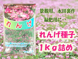 れんげ草　タネ　　水田裏作　緑肥　景観用　【窒素固定　根粒菌】【蜜源】【緑化】【水田裏作】【蓮華種子】【当店オススメ】