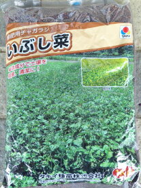 緑肥用種子　チャガラシ　いぶし菜　1kg【生物くん蒸】【緑肥、景観用の種】【タキイのタネ】