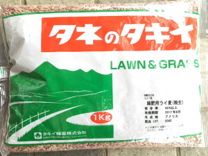 緑肥用種子 ライ麦 緑肥用ライ麦(晩生) 1kg【緑肥、景観用の種】【タキイのタネ】