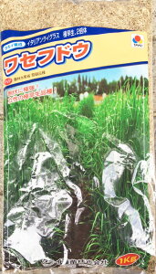 Δpq@C^ACOX@ZthE@1kg_ȓo^i@(i햼@ZthEjyΔAiϗp̎zy^LC̃^lz