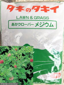 yΔ@iϗpqzAJN[o@WE@1܁i500gjyΔz