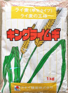 緑肥用種子 ライ麦 キングライ麦 1kg【緑肥、景観用の種】【タキイのタネ】