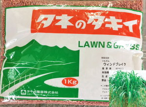 ガム 緑 種の人気商品 通販 価格比較 価格 Com