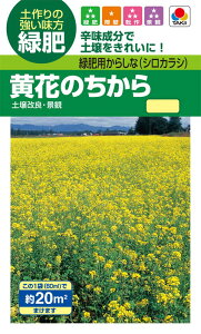 Δiϗp@NLΔ Ԃ̂  [BTY501]yΔAiϗp̎zy^LC̃^lzyK[fjOz