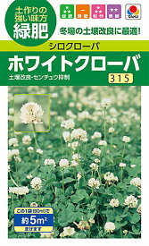緑肥景観用種　ホワイトクローバー [BCL532]【緑肥、景観用の種】【タキイのタネ】【ガーデニング】【シロクローバ―】