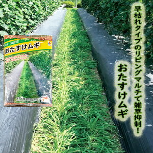 y}`MqzM@1kg@Δp唞(rO}`)qy^LCz