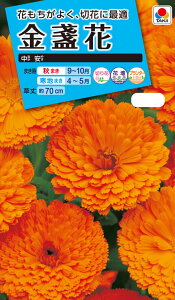 Ԏ@NL150 ᵉ   [FKN141]yԂ̎zy^LC̃^lzyK[fjOz