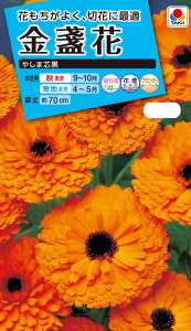 Ԏ NL150 ᵉ ₵ܐc  [FKN121]yԂ̎zy^LC̃^lzyK[fjOz