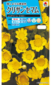 Ԏ@NL150 NTZ} `R[ CG[  [FCR133]yԂ̎zy^LC̃^lzzyK[fjOz