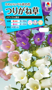 Ԏ@NL150 肪ˑ fBE  [FTU350]@yԂ̎zy^LC̃^lzyK[fjOz