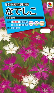 ԃ^l@NL150 Ȃł ͌  [FND140]yԂ̎zy^LC̃^lzyK[fjOz