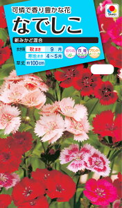 ԃ^l@NL150 Ȃł V݂Ǎ  [FND110]yԂ̎zy^LC̃^lzyK[fjOz