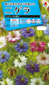 Ԏ@ NL150 jQ ~XW[L  [FZZ775]yԂ̎zy^LC̃^lzyK[fjOz